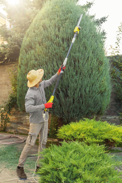 Best Lawn Grading and Leveling  in Spencerville, NM